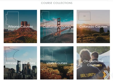Defencify's online security guard course collection