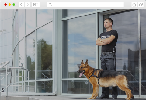 Security guard standing watch with guard dog